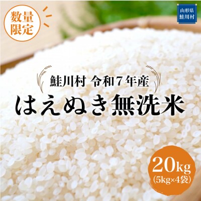 ★数量限定★令和7年産 はえぬき【無洗米】20kg(5kg×4袋)＜配送時期指定可＞鮭川村