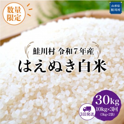 ★数量限定★令和7年産 はえぬき【白米】30kg定期便(10kg×3回)＜配送時期指定可＞鮭川村