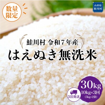 ★数量限定★令和7年産 はえぬき【無洗米】30kg定期便(10kg×3回)＜配送時期指定可＞鮭川村