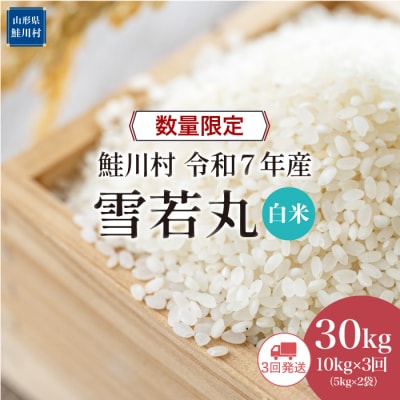 ★数量限定★令和7年産 雪若丸【白米】30kg定期便(10kg×3回)＜配送時期指定可＞鮭川村