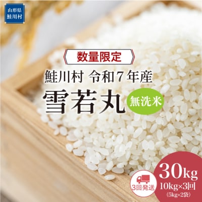 ★数量限定★令和7年産 雪若丸【無洗米】30kg定期便(10kg×3回)＜配送時期指定可＞鮭川村