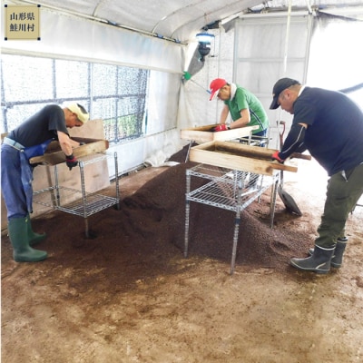 [カブトムシ・クワガタ飼育マット]　鮭川村産　廃菌床使用　LRマット