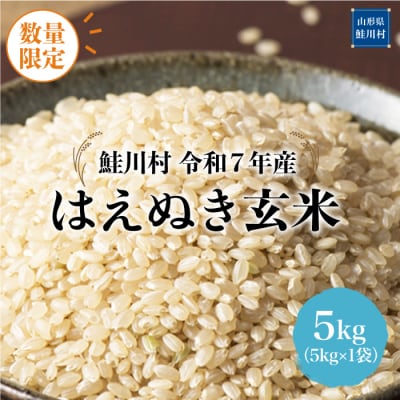 ★数量限定★令和7年産 はえぬき【玄米】5kg(5kg×1袋)＜配送時期指定可＞鮭川村