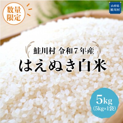 ★数量限定★令和7年産 はえぬき【白米】5kg(5kg×1袋)＜配送時期指定可＞鮭川村