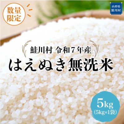 ★数量限定★令和7年産 はえぬき【無洗米】5kg(5kg×1袋)＜配送時期指定可＞鮭川村