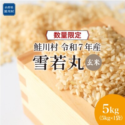 ★数量限定★令和7年産 雪若丸【玄米】5kg(5kg×1袋)＜配送時期指定可＞鮭川村