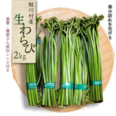 鮭川村産 生わらび 2kg (重曹・農家さん直伝レシピ付)