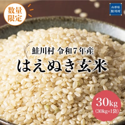 ★数量限定★2025年産 はえぬき【玄米】30kg(30kg×1袋)<配送時期指定可>鮭川村