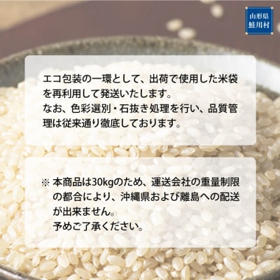 ★数量限定★2025年産 はえぬき【玄米】30kg(30kg×1袋)<配送時期指定可>鮭川村