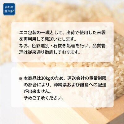★数量限定★2025年産 雪若丸【玄米】30kg(30kg×1袋)<配送時期指定可>鮭川村