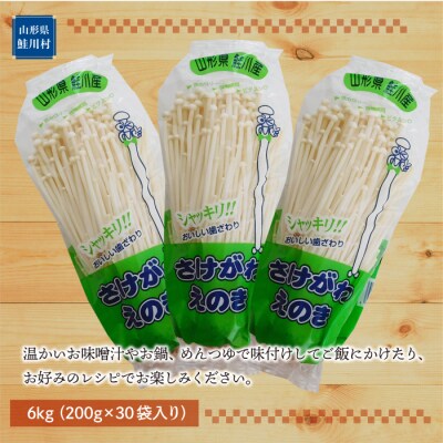 きのこ王国鮭川村産 [えのき茸] たっぷり6kg(200g×30袋入り)
