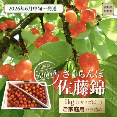鮭川村産さくらんぼ <佐藤錦>家庭用バラ詰め 1kg