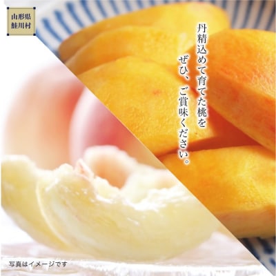 鮭川村産「桃」品種おまかせ 　約3kg