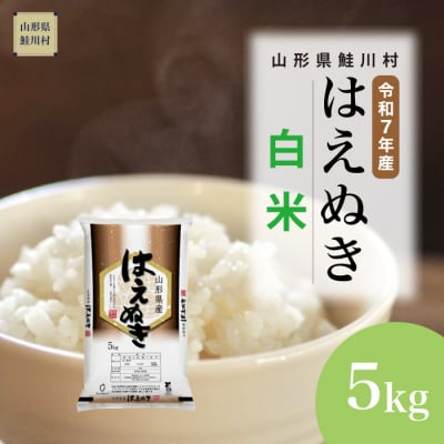 ★数量限定★　令和7年産　山形県産　はえぬき【白米】5kg(5kg×1袋)鮭川村