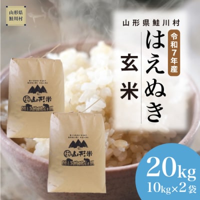 ★数量限定★　令和7年産　山形県産　はえぬき【玄米】20kg(10kg×2袋)鮭川村