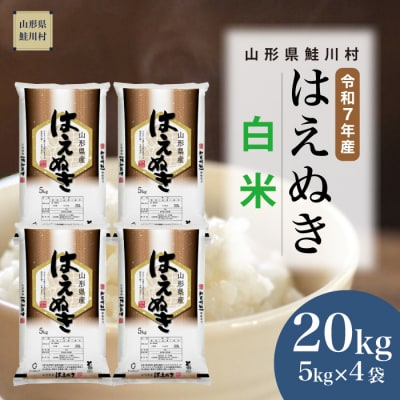 ★数量限定★　令和7年産　山形県産　はえぬき【白米】20kg(5kg×4袋)鮭川村