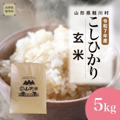 ★数量限定★　令和7年産　山形県産　こしひかり 【玄米】 5kg (5kg×1袋) 鮭川村