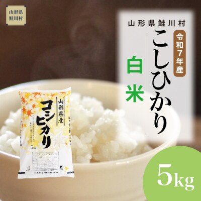 ★数量限定★　令和7年産　山形県産　こしひかり 【白米】 5kg (5kg×1袋) 鮭川村