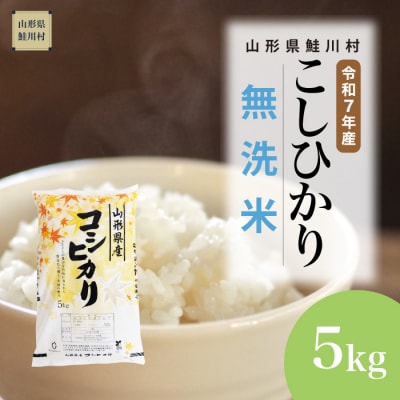 ★数量限定★　令和7年産　山形県産　こしひかり 【無洗米】 5kg (5kg×1袋) 鮭川村