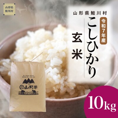 ★数量限定★　令和7年産　山形県産　こしひかり 【玄米】 10kg (10kg×1袋) 鮭川村