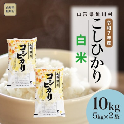 ★数量限定★　令和7年産　山形県産　こしひかり 【白米】 10kg (5kg×2袋) 鮭川村