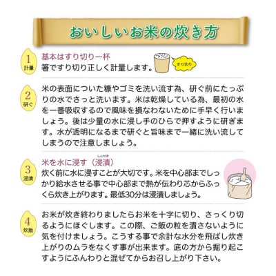 ★数量限定★　令和7年産　山形県産　こしひかり 【白米】 10kg (5kg×2袋) 鮭川村