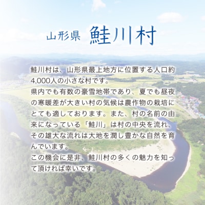 ★数量限定★　令和7年産　山形県産　こしひかり 【白米】 10kg (5kg×2袋) 鮭川村