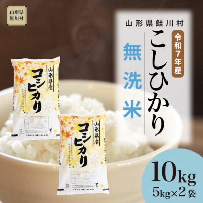 ★数量限定★　令和7年産　山形県産　こしひかり 【無洗米】 10kg (5kg×2袋) 鮭川村