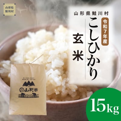 ★数量限定★　令和7年産　山形県産　こしひかり 【玄米】 15kg (15kg×1袋) 鮭川村