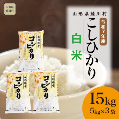 ★数量限定★　令和7年産　山形県産　こしひかり 【白米】 15kg (5kg×3袋) 鮭川村