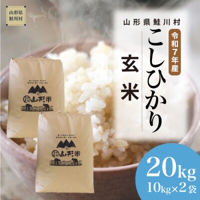 ★数量限定★　令和7年産　山形県産　こしひかり 【玄米】 20kg (10kg×2袋) 鮭川村