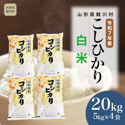 ★数量限定★　令和7年産　山形県産　こしひかり 【白米】 20kg (5kg×4袋) 鮭川村