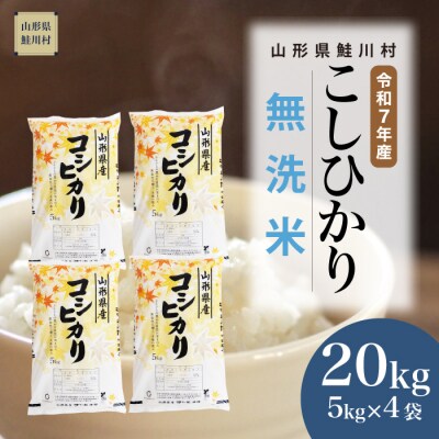 ★数量限定★　令和7年産　山形県産　こしひかり 【無洗米】 20kg (5kg×4袋) 鮭川村