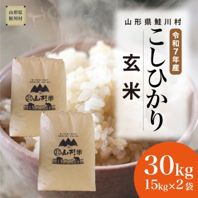 ★数量限定★　令和7年産　山形県産　こしひかり 【玄米】 30kg (15kg×2袋) 鮭川村