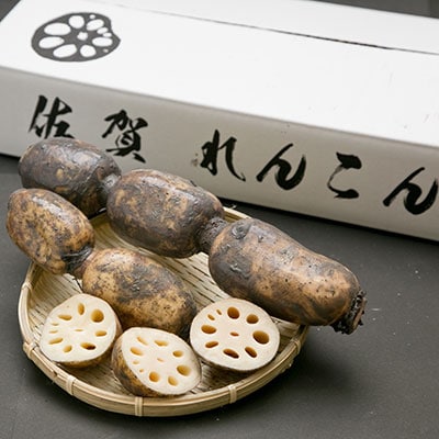 「地元 江北町産」 泥付き蓮根【3kg×2】