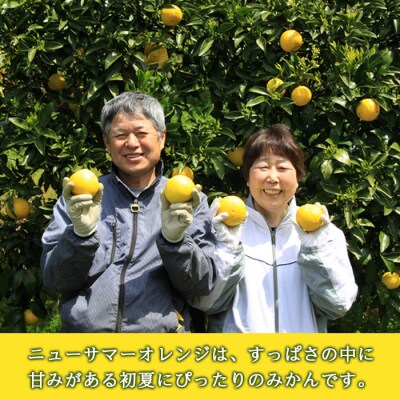 おれんじはーと　農家直送ニューサマーオレンジ5kg(数量限定)