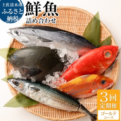 【3回定期便】おまかせ!季節の鮮魚 お楽しみセット(ゴールドコース)魚介 海鮮【J00047】