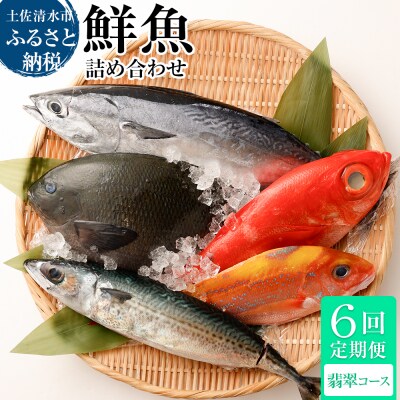 【6回定期便】おまかせ!季節の鮮魚 お楽しみセット(翡翠コース)魚介 海鮮【J00049】