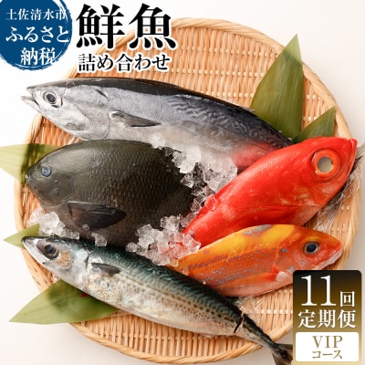 【11回定期便】おまかせ!季節の鮮魚 お楽しみセット(VIPコース)魚介 海鮮【J00056】