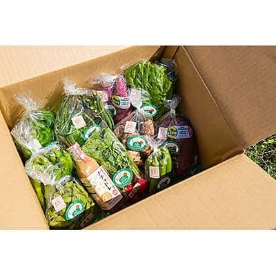 佐賀産季節の旬野菜10種類とドレッシング
