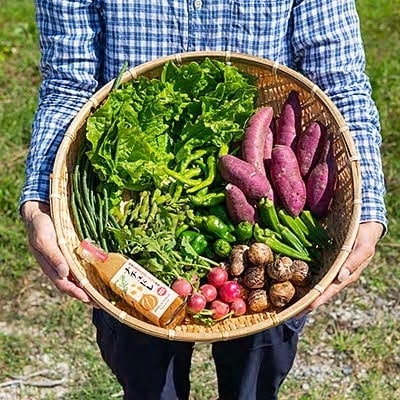 佐賀産季節の旬野菜10種類とドレッシング