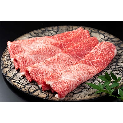 【発送月固定定期便】佐賀牛大満足 全12回