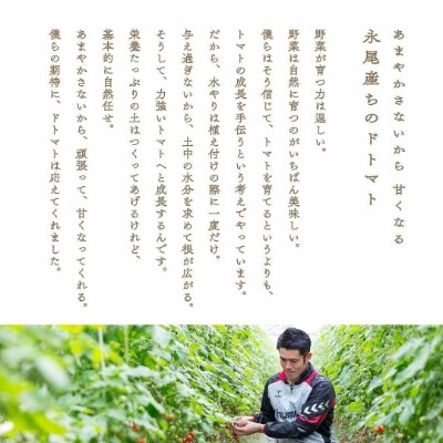 トマトらしさがドキュウ!ドトマト3号