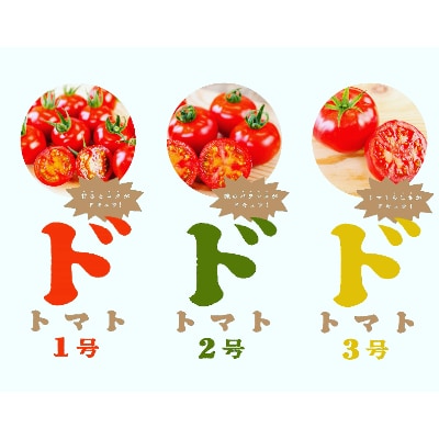 永尾産ちド級シリーズ食べくらべセット!