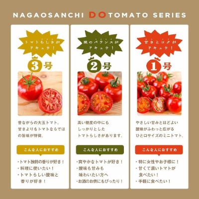 永尾産ちド級シリーズ食べくらべセット!