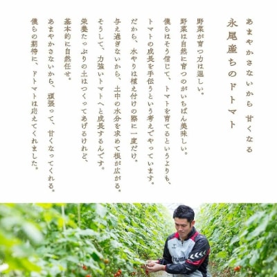永尾産ちド級シリーズ食べくらべセット!