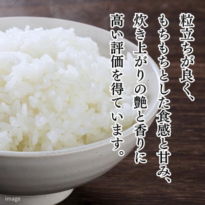 令和7年産 佐賀県産「さがびより」5kg