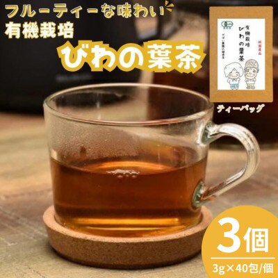 有機栽培 びわの葉茶(3個セット)