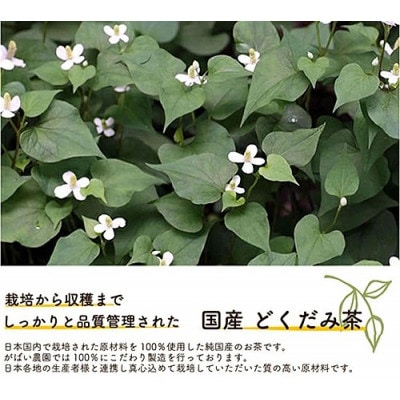 国産 どくだみ茶　1個