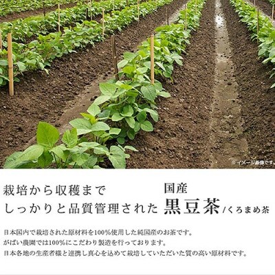 国産 黒豆茶(3個セット)